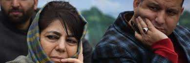 Suhail Bukhari Resigns From Mehbooba Mufti Led PDP