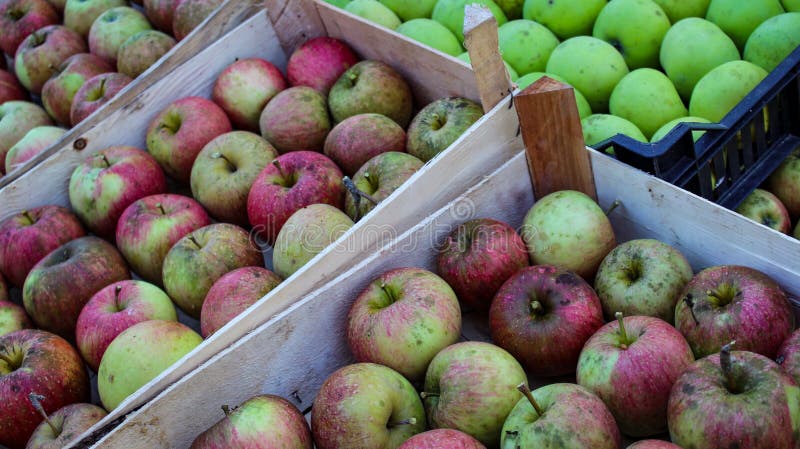 Nearly 100 Apple Crates Stolen from Shopian Orchard